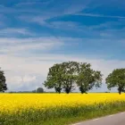 Yrityksen 5 kuva SEPPO RUOHONIEMI OY  Anjalankoski 09