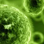 Yrityksen 4 kuva SGS FINLAND OY Muu tekninen palvelu  Rauma 17