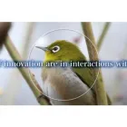 Yrityksen 7 kuva SILMÄOPTIIKKA INKEROINEN  Inkeroinen 09