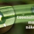 Yrityksen 2 kuva SILMÄOPTIIKKA KARHULA  Kotka 09
