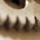 Yrityksen 1 kuva SIMO HAAPARANTA OY Sähköasennus  Hyvinkää 18