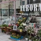 Yrityksen 2 kuva SISUSTUS JA LAHJA AURORA OY  Kajaani 05