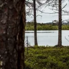 Yrityksen 2 kuva SODANKYLÄN ECOASEMA  Sodankylä LL