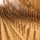 Yrityksen 5 kuva SOTKAMON URKURAKENTAJAT OY Soitinten valmistus  Sotkamo 05