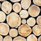 Yrityksen 2 kuva SUOMEN METSÄKESKUS, KAAKKOINEN PALVELUALUE VIROLAHTI  Virolahti 09