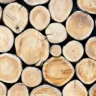 Yrityksen 2 kuva SUOMEN METSÄKESKUS, POHJOINEN PALVELUALUE KUHMO  Kuhmo 05