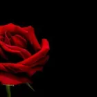 Yrityksen 1 kuva TANSSIKOULU WANHA MAESTRO OY  Helsinki 18