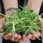 Yrityksen 1 kuva TERAPIA- JA HYVINVOINTIPALVELU VERSO Muu terveyspalvelu  Oulu 14