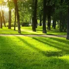 Yrityksen 1 kuva TERAPIA VALO MARIKA SALONURMI Muu terveyspalvelu  Oulu 14