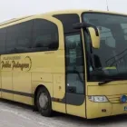 Yrityksen 2 kuva TILAUSLIIKENNE PEKKA PALMGREN KY Linja-autojen tilausliikenne  Sastamala 11