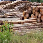 Yrityksen 2 kuva TRAKTORIURAKOINTI LAURI MERILÄINEN  Kello 14