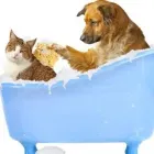 Yrityksen 3 kuva TRIMMAAMO TURRE  Vantaa 18