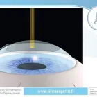 Yrityksen 4 kuva TURUN SILMÄEXPERTIT OY Optisen alan vähittäiskauppa  Turku 19