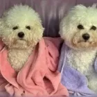 Yrityksen 1 kuva TUUSTRIMM  Lahela 18