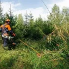 Yrityksen 5 kuva UITTOKALUSTO OY Maa- ja metsätalouskoneiden ja -tarvikkeiden tukkukauppa mukaan lukien traktorit  Savonlinna 04