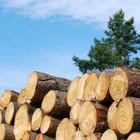 Yrityksen 1 kuva URAKOINTI ESA JÄHI OY Tieliikenteen tavarankuljetus  Virolahti 09