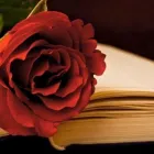 Yrityksen 2 kuva VANTAAN HAUTAUSTOIMISTO KYLLIKKI JA PETRI FORSIUS AY Hautaustoimistojen palvelut  Vantaa 18