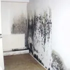 Yrityksen 2 kuva VARSINAIS-SUOMEN KIINTEISTÖKUIVAUS OY Kiinteistönhoito  Turku 19