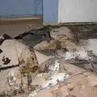 Yrityksen 3 kuva VARSINAIS-SUOMEN KIINTEISTÖKUIVAUS OY Kiinteistönhoito  Turku 19