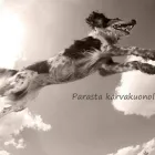 Yrityksen 3 kuva VAUHTIHÄNTÄ OY  Lahti 16