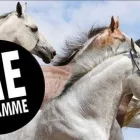 Yrityksen 1 kuva VENDADO OY Muu liikkeenjohdon konsultointi  Sotkamo 05