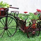 Yrityksen 1 kuva VIHERNURKKA GARDEN DESIGN GRÖNA HÖRNAN/NORAH THIBAULT  Espoo 18