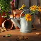 Yrityksen 3 kuva VIHERNURKKA GARDEN DESIGN GRÖNA HÖRNAN/NORAH THIBAULT  Espoo 18