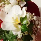 Yrityksen 2 kuva WANHAN MYLLYN KUKKA  Tuusula 18