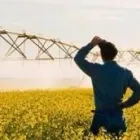 Yrityksen 1 kuva YARA SUOMI OY Peruskemikaalien, lannoitteiden yms. tukkukauppa  Espoo 18