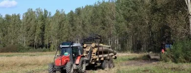Yrityksen 4 kuva ALKKIOMÄKI HANNU Rakennuspaikan valmistelutyöt  Alkkia 17