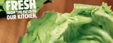 Yrityksen 3 kuva BURGER KING OULU, ROTUAARI  Oulu 14