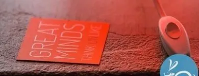 Yrityksen 3 kuva GREAT MINDS OY  Turku 19