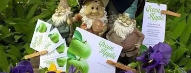 Yrityksen 5 kuva HIERONTASTUDIO GREEN APPLE  Turku 19