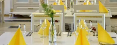 Yrityksen 2 kuva HOTEL GOLDEN DOME Hotellit  Iisalmi 15