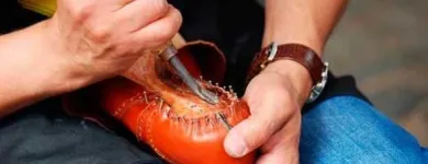 Yrityksen 5 kuva JALKINEKORJAAMO PS SUUTARIT OY Jalkineiden ja nahkatavaroiden korjaus  Kuopio 15