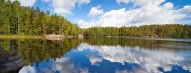 Yrityksen 3 kuva KIELIKOTKA KY  Vantaa 18