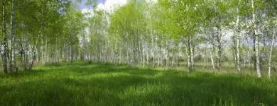 Yrityksen 5 kuva KIELIKOTKA KY  Vantaa 18