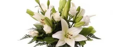 Yrityksen 2 kuva KUKKA-BUKETT Kukkien vähittäiskauppa  Oulu 14