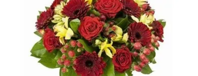 Yrityksen 4 kuva KUKKA-BUKETT Kukkien vähittäiskauppa  Oulu 14