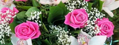 Yrityksen 1 kuva KUKKAKAUPPA AMANDA Kukkien vähittäiskauppa  Imatra 02