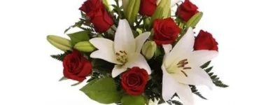 Yrityksen 4 kuva KUKKAKAUPPA TULIKUKKA  Vantaa 18