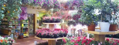 Yrityksen 1 kuva KUKKATARHA KOSKINEN OY Kukkien vähittäiskauppa  Lahti 16