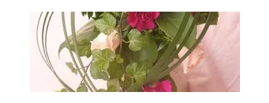 Yrityksen 2 kuva KUKKATARHA KOSKINEN OY Kukkien vähittäiskauppa  Lahti 16