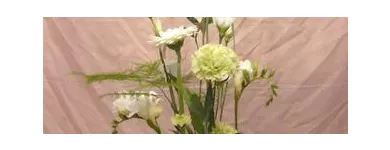 Yrityksen 3 kuva KUKKATARHA KOSKINEN OY Kukkien vähittäiskauppa  Lahti 16