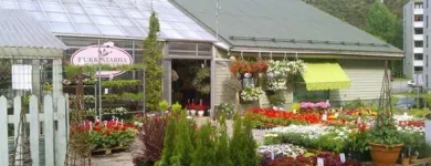 Yrityksen 4 kuva KUKKATARHA KOSKINEN OY Kukkien vähittäiskauppa  Lahti 16