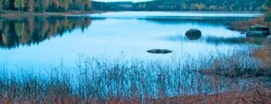 Yrityksen 3 kuva LUUMÄEN KUNTA  Taavetti 02