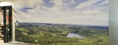 Yrityksen 5 kuva MAALAUSLIIKE PEKKARINEN OY Maalaus  Jyväskylä 08