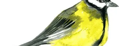 Yrityksen 1 kuva MAINIOKOTI KERTTULI Ikääntyneiden palveluasuminen  Tuusula 18