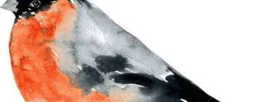 Yrityksen 2 kuva MAINIOKOTI KERTTULI Ikääntyneiden palveluasuminen  Tuusula 18