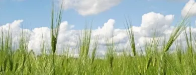 Yrityksen 6 kuva MAVEPLAN OY Rakennuspaikan valmistelutyöt  Oulu 14